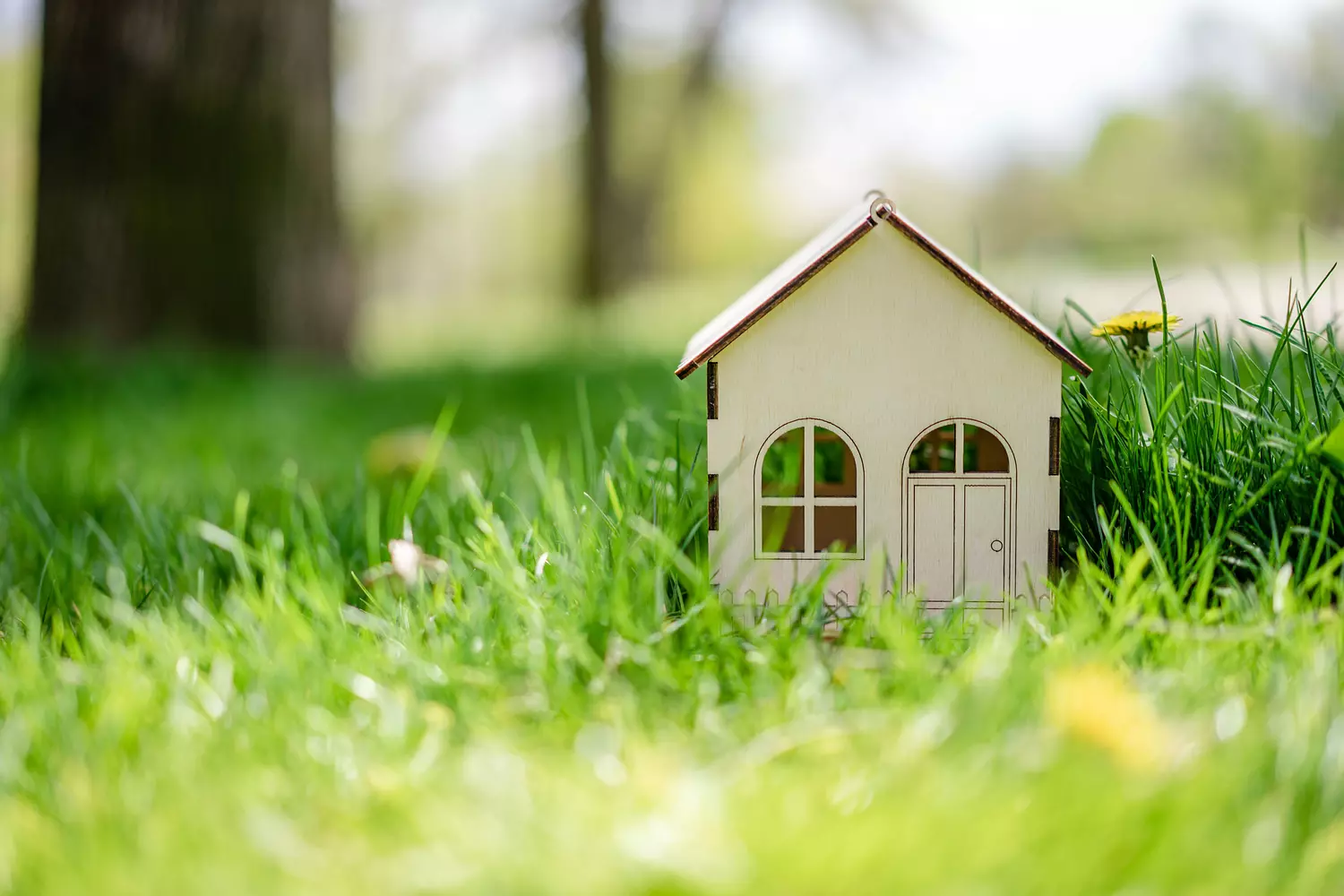 huis erven - miniatuur huisje in gras 
