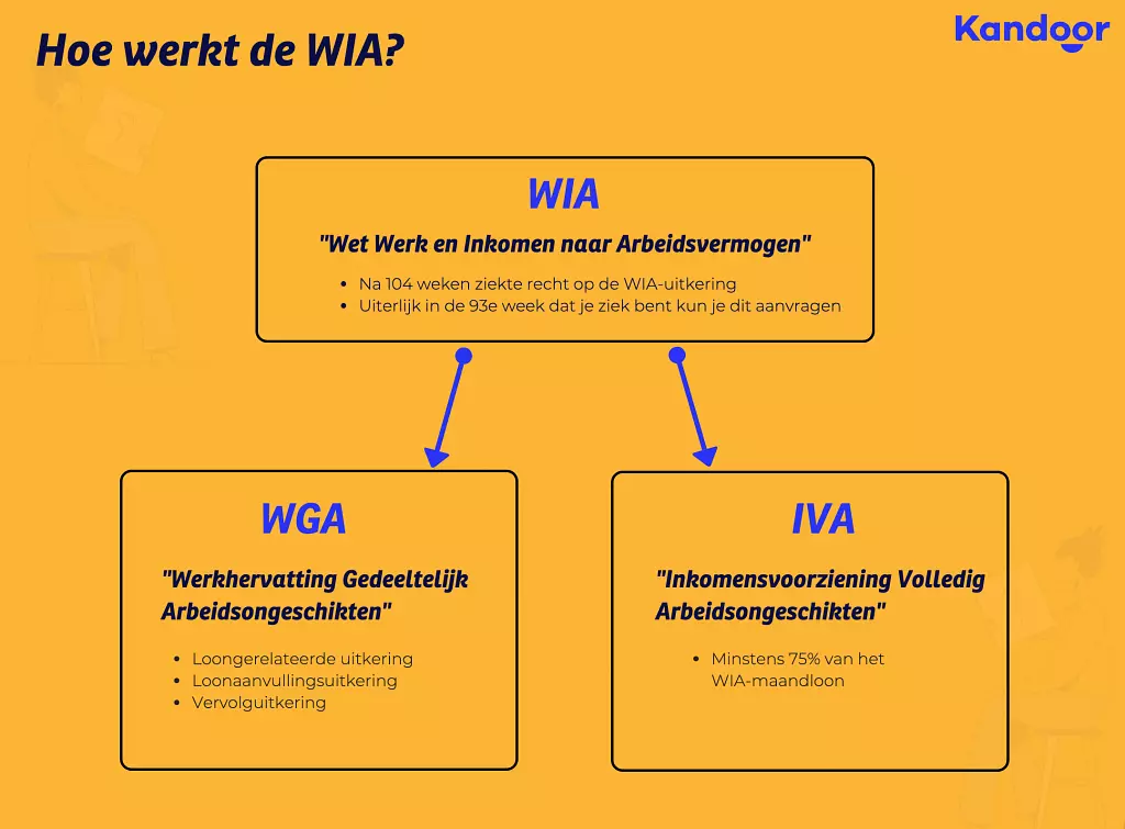 WIA - infographic: Hoe werkt WIA?